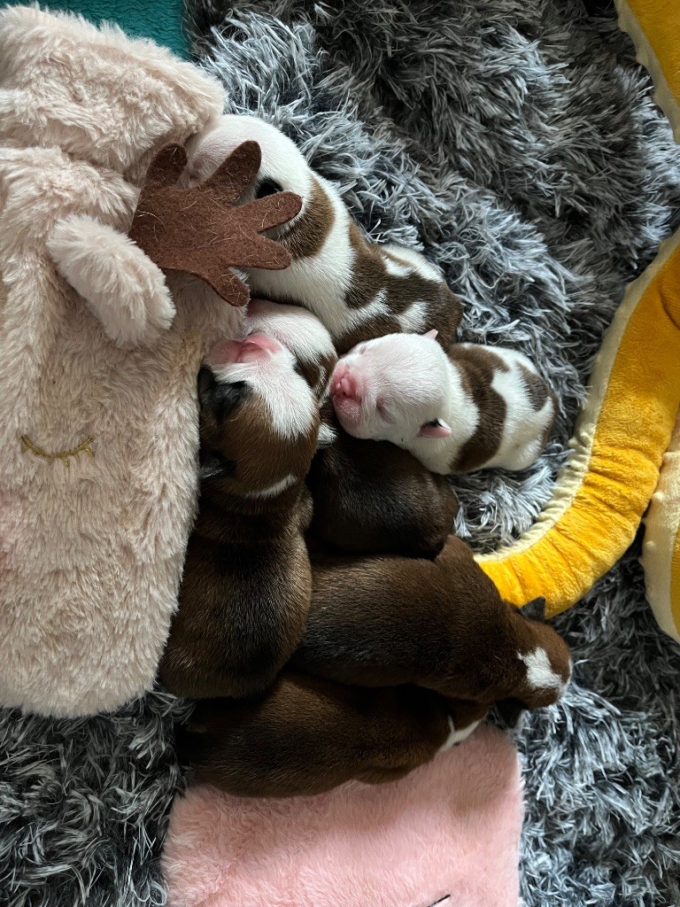 Nouvelle naissance!
